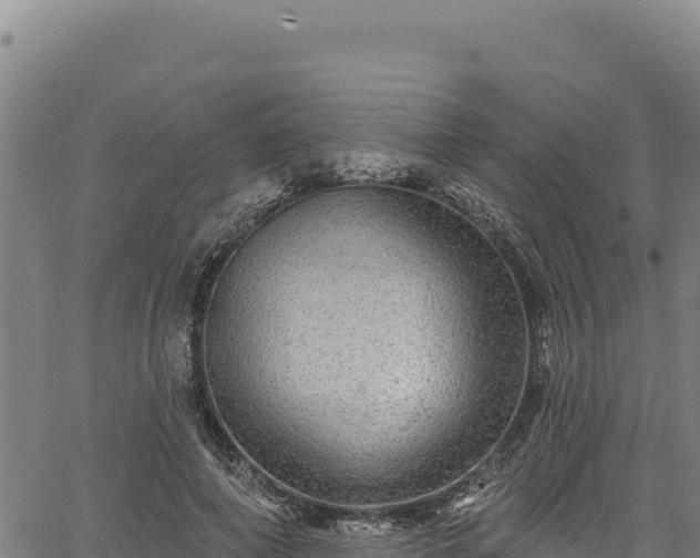 X0000066950690200603311443