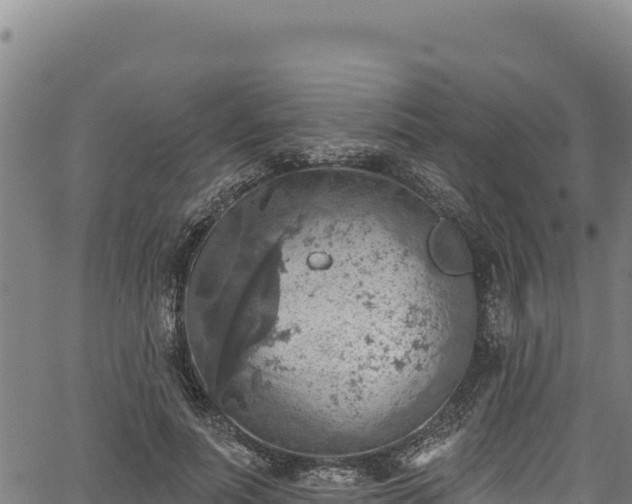 X0000066950691200603311442