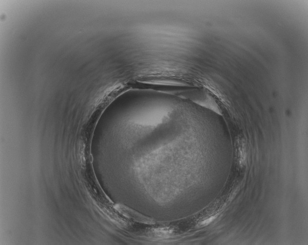 X0000066950692200603311442