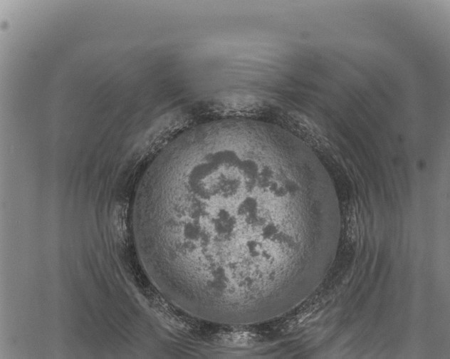 X0000066950695200603311442