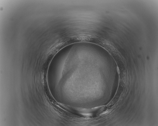 X0000066950696200603311442