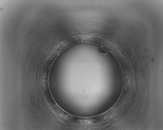 X0000066950698200603311442