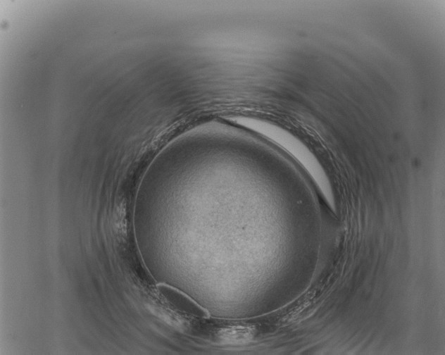 X0000066950700200603311442