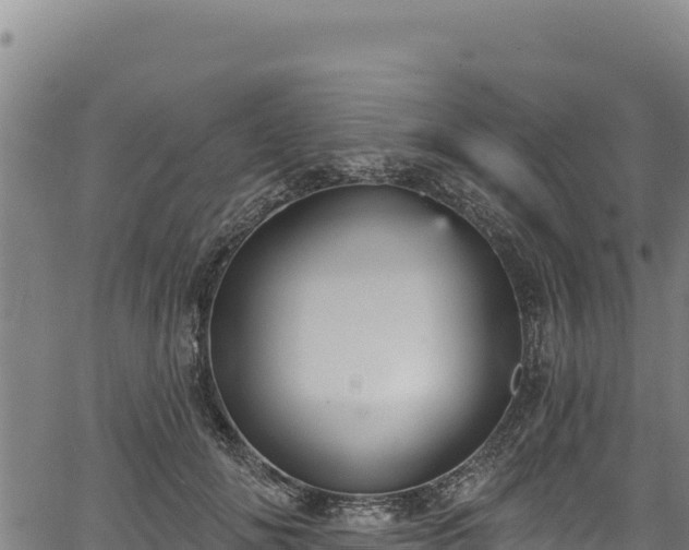 X0000066950702200603311442