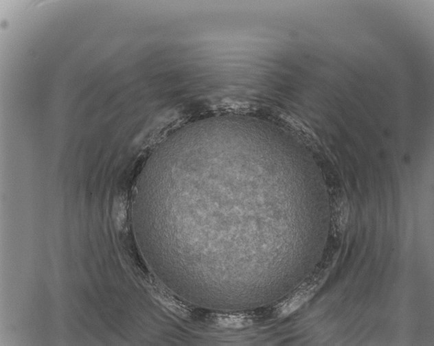 X0000066950709200603311442