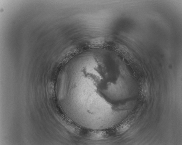 X0000066950711200603311442