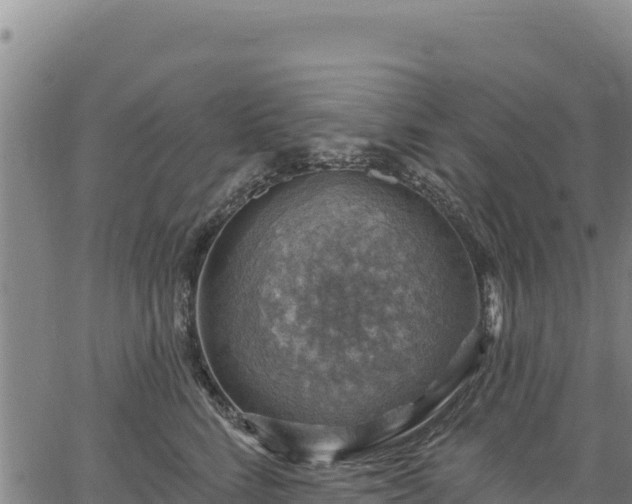 X0000066950712200603311442