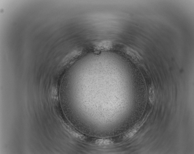 X0000066950714200603311442