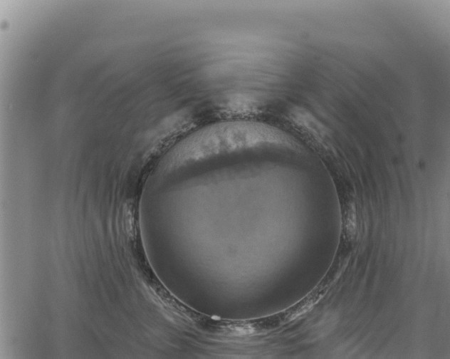 X0000066950715200603311442