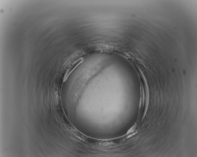 X0000066950716200603311442