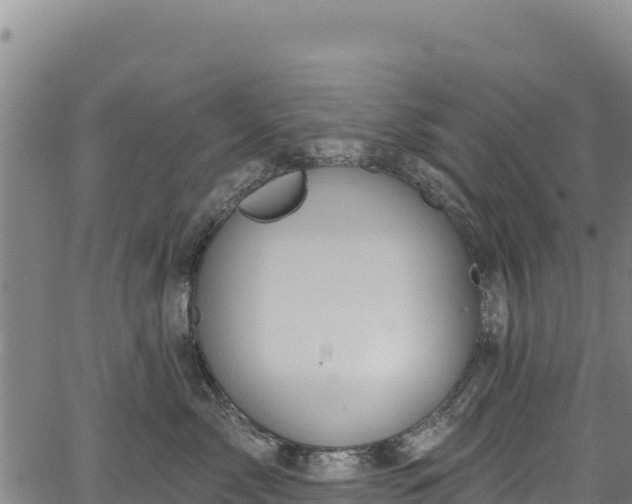 X0000066950717200603311442