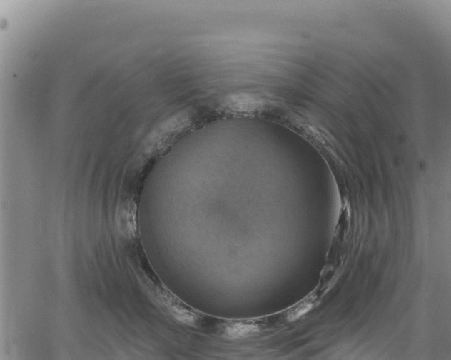 X0000066950718200603311442