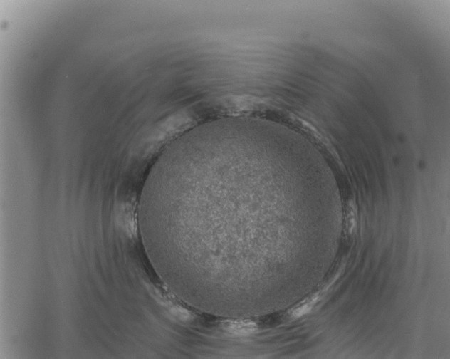 X0000066950719200603311442