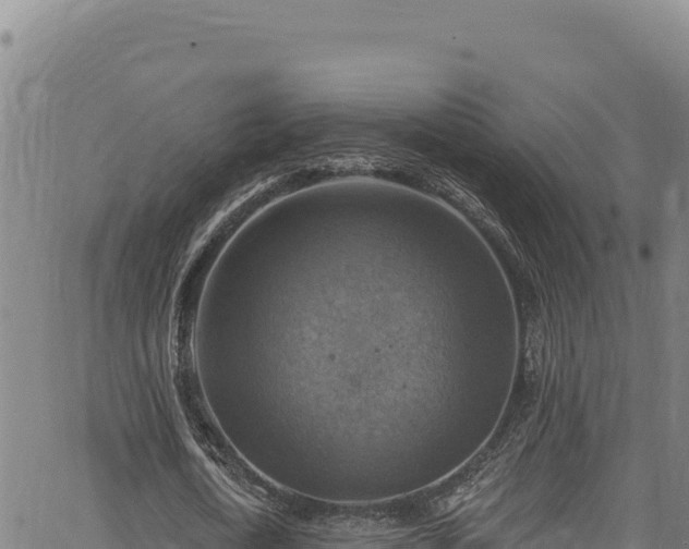 X0000066950722200603311441