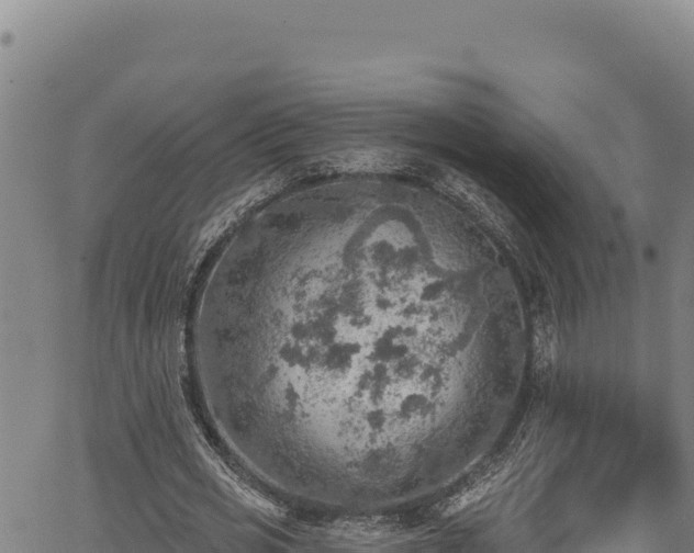 X0000066950725200603311441