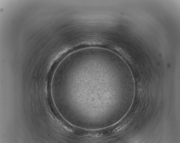 X0000066950727200603311441