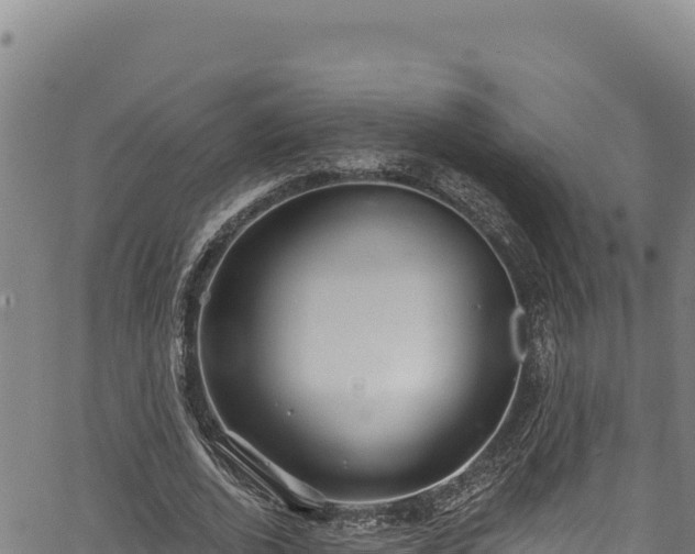 X0000066950728200603311441