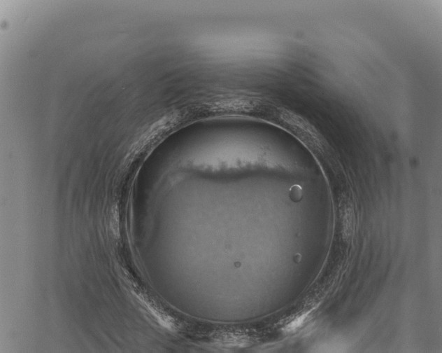 X0000066950729200603311441