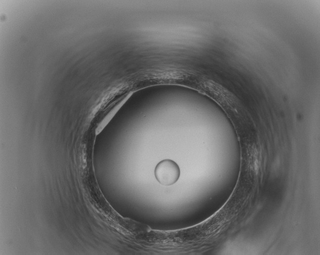 X0000066950731200603311441