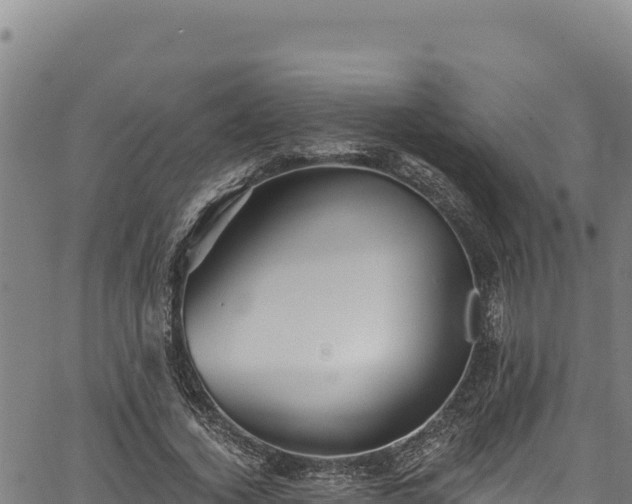 X0000066950732200603311441