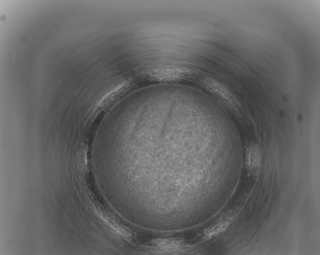 X0000066950733200603311441