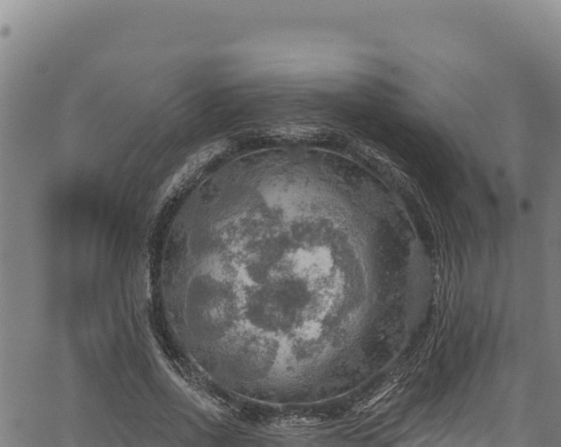 X0000066950734200603311441