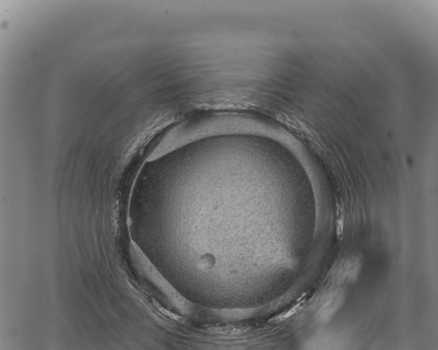 X0000066950735200603311441