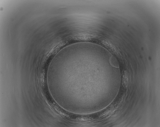 X0000066950739200603311442