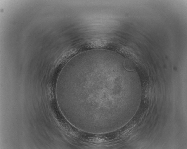 X0000066950743200603311442