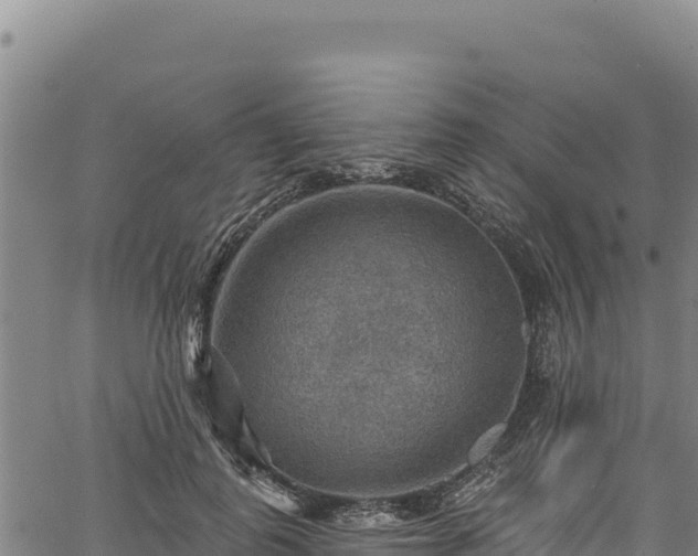 X0000066950747200603311442