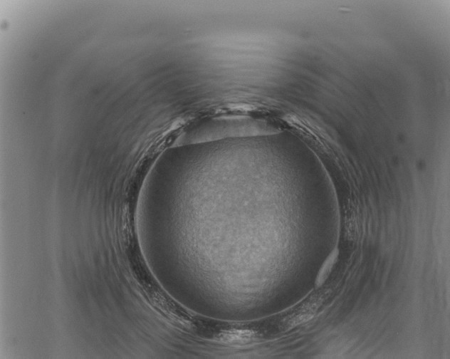 X0000066950748200603311442