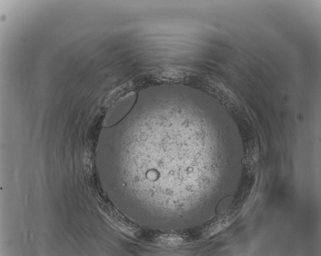 X0000066950749200603311442