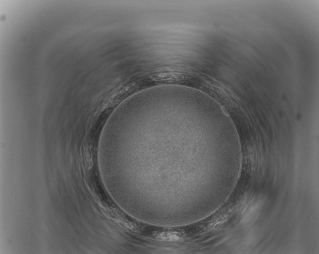 X0000066950751200603311442