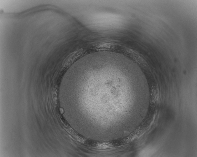 X0000066950753200603311442