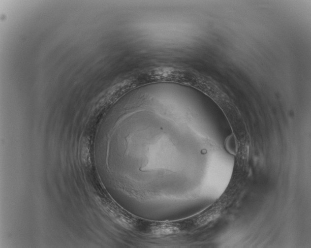 X0000066950754200603311442