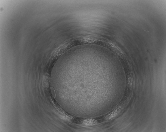 X0000066950757200603311442