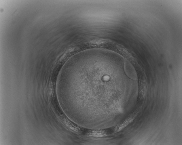 X0000066950758200603311442