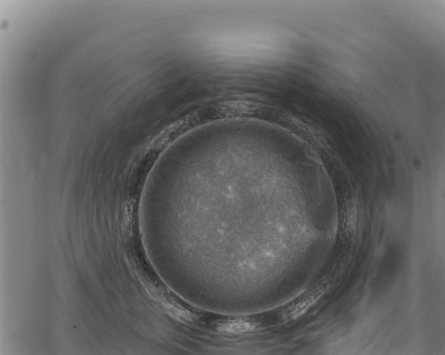 X0000066950759200603311442