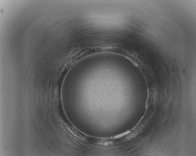 X0000066950760200603311442