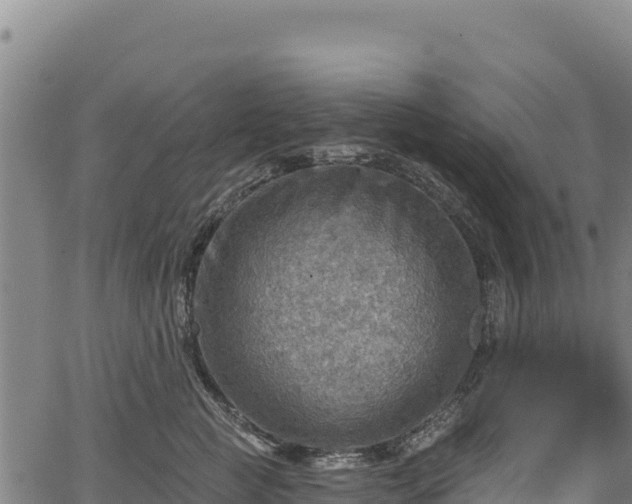 X0000066950761200603311442