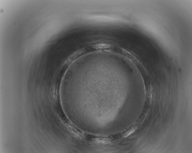 X0000066950763200603311442