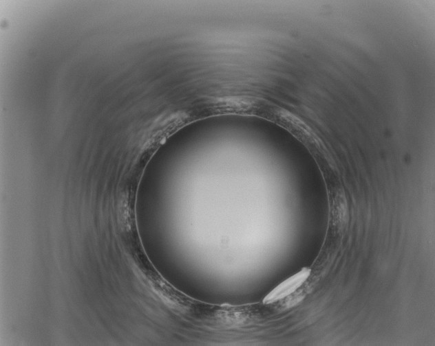 X0000066950764200603311442