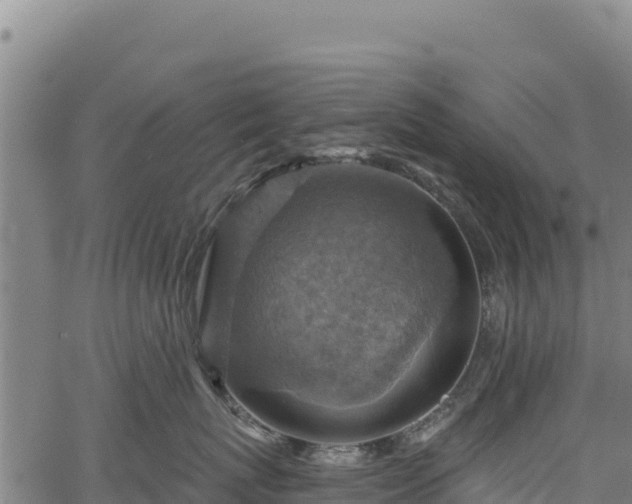 X0000066950767200603311442