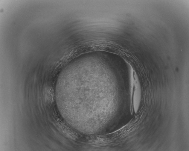 X0000066950772200603311441