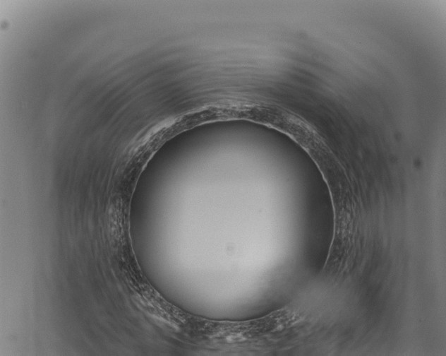 X0000066950773200603311441