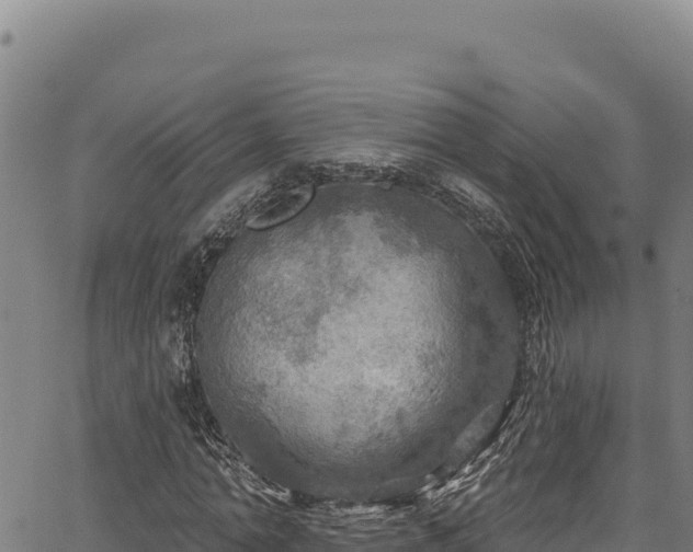 X0000066950774200603311441