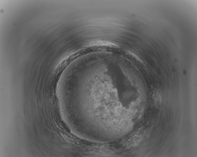 X0000066950775200603311441