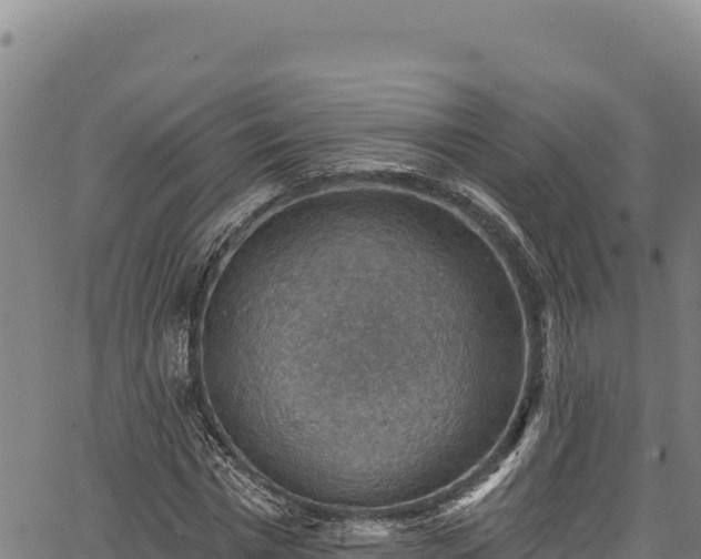 X0000066950777200603311441