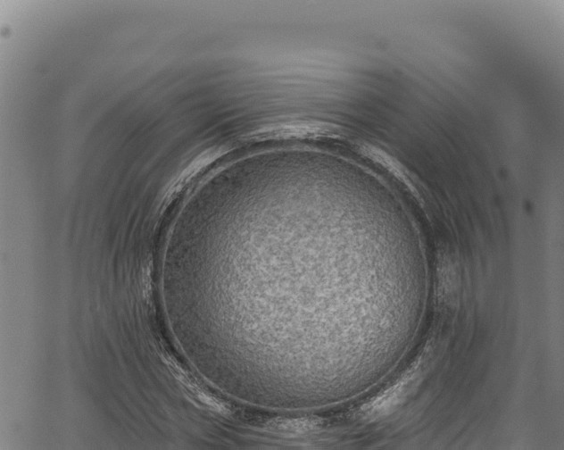 X0000066950778200603311441