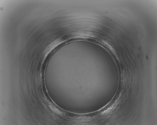 X0000066950779200603311441